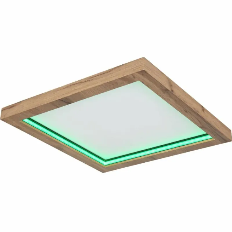 Luminaires Globo Lighting Plafonnier Globo BRANZA LED Noir, 1 lumière, Télécommandes* Éclairage Led