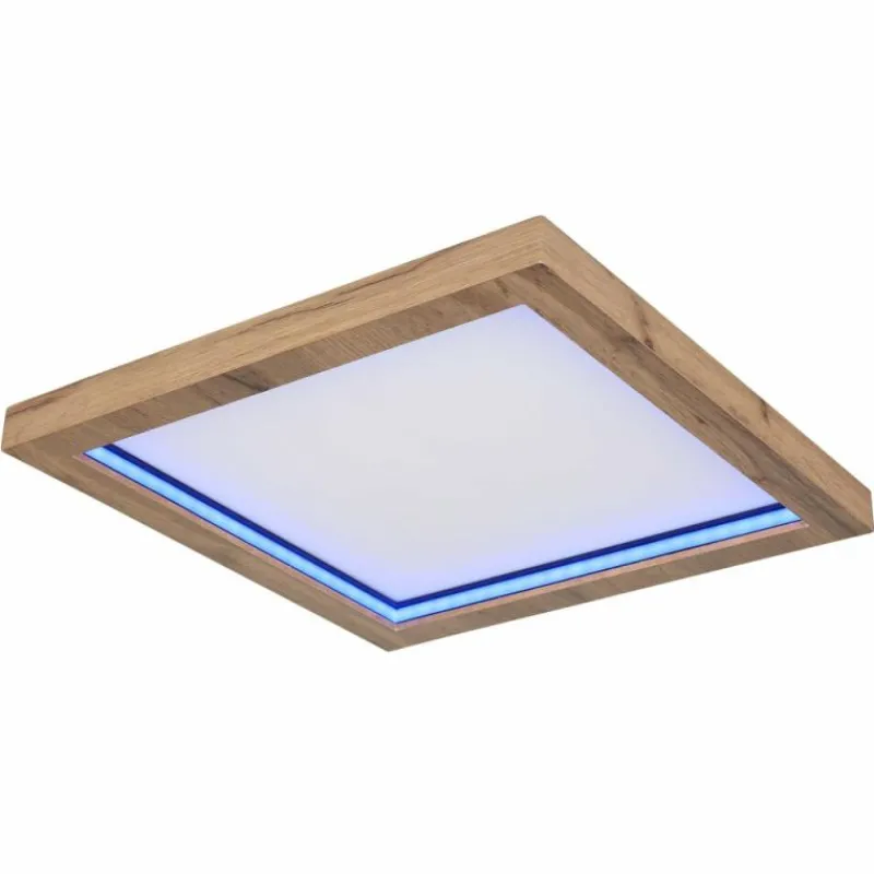 Luminaires Globo Lighting Plafonnier Globo BRANZA LED Noir, 1 lumière, Télécommandes* Éclairage Led