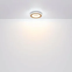 Lampes En Bois-Luminaires Globo Lighting Plafonnier Globo CLAY LED Blanc, 1 lumière