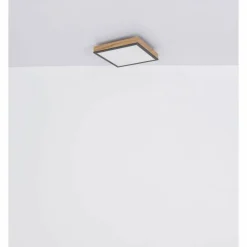 Lampes En Bois-Luminaires Globo Lighting Plafonnier Globo DORO LED Couleur bois, Noir, 1 lumière