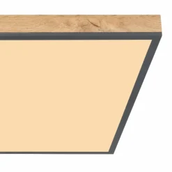 Lampes En Bois-Luminaires Globo Lighting Plafonnier Globo DORO LED Couleur bois, Noir, 1 lumière