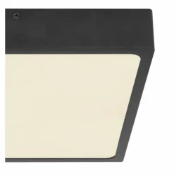 Luminaires Globo Lighting Plafonnier Globo ECHO LED Noir, 1 lumière* Éclairage Led