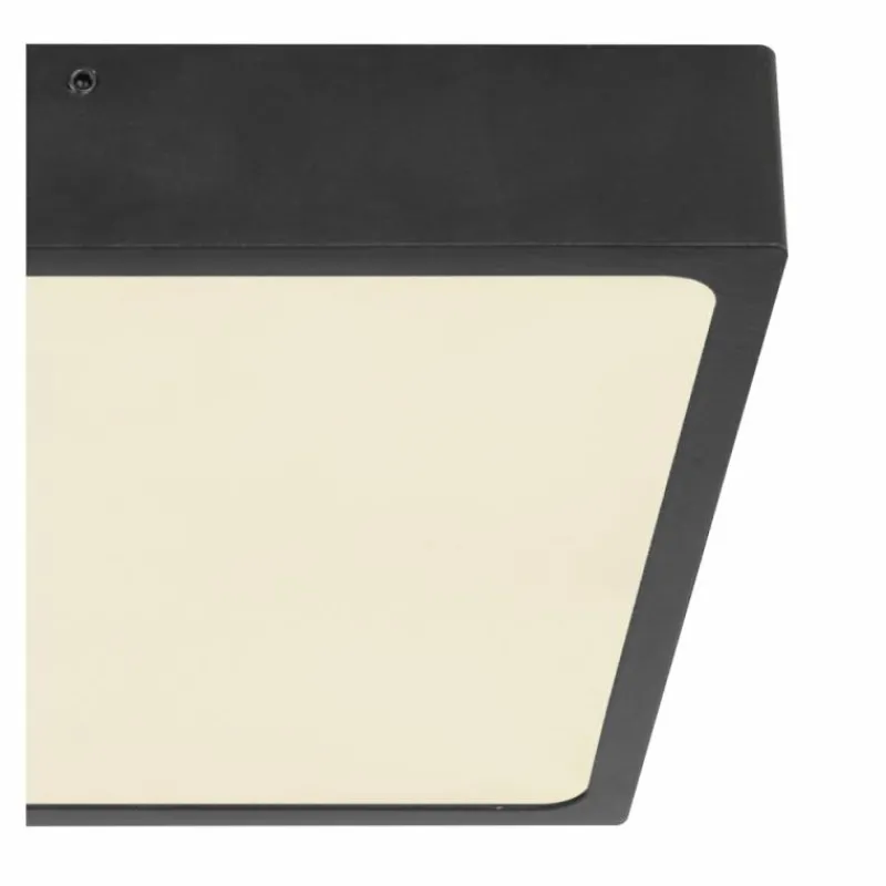 Luminaires Globo Lighting Plafonnier Globo ECHO LED Noir, 1 lumière* Éclairage Led