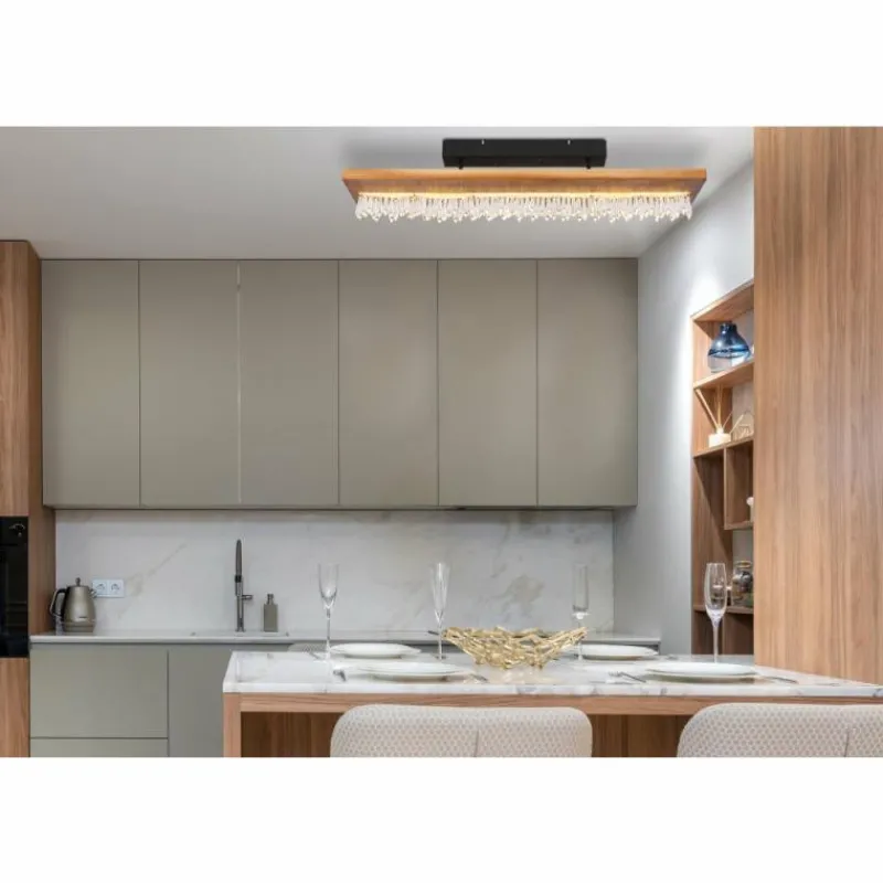 Luminaires Scandinaves-Luminaires Globo Lighting Plafonnier Globo EDELTRAUD LED Noir, 1 lumière