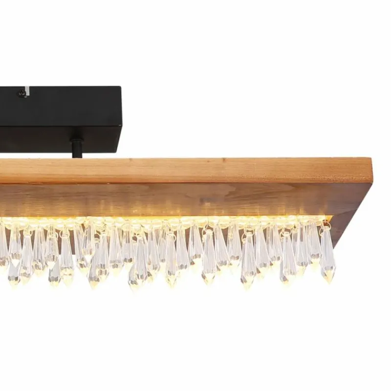 Luminaires Scandinaves-Luminaires Globo Lighting Plafonnier Globo EDELTRAUD LED Noir, 1 lumière