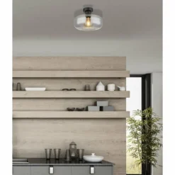 Suspension Verre Fumé-Luminaires Globo Lighting Plafonnier Globo GIUSEPPE Noir, 1 lumière