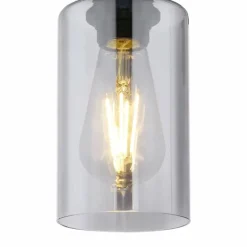 Suspension Verre Fumé-Luminaires Globo Lighting Plafonnier Globo HADERA Noir, 1 lumière