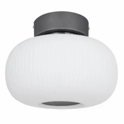 Luminaires Globo Lighting Plafonnier Globo LED Anthracite, Nickel mat, 1 lumière