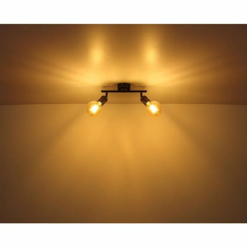 Luminaires Globo Lighting Plafonnier Globo OTTILIE Brun foncé, Nickel mat, 2 lumières* Spots Et Projecteurs
