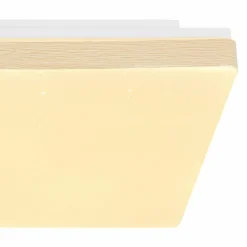 Lampes En Bois-Luminaires Globo Lighting Plafonnier Globo RAINA LED Blanc, 1 lumière