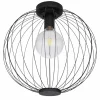 Lampes À Boules-Luminaires Globo Lighting Plafonnier Globo ROZA Noir, 1 lumière