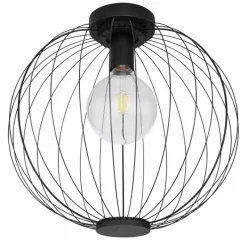 Lampes À Boules-Luminaires Globo Lighting Plafonnier Globo ROZA Noir, 1 lumière