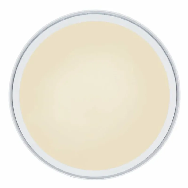 Luminaires Globo Lighting Plafonnier Globo SAMU LED Blanc, 1 lumière, Télécommandes, Changeur de couleurs* Éclairage Led