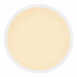 Luminaires Globo Lighting Plafonnier Globo SAPANA LED Blanc, 1 lumière* Éclairage Led