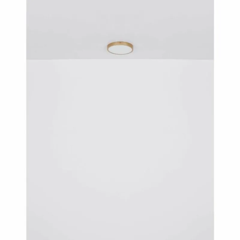 Luminaires Globo Lighting Plafonnier Globo TIBEY LED Laiton, 1 lumière* Éclairage Led