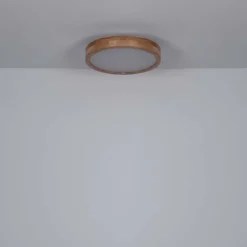 Lampes Vintages & Rétros-Luminaires Globo Lighting Plafonnier Globo WEDIO LED, 1 lumière, Télécommandes