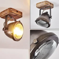 Luminaires Rustiques-hofstein Plafonnier Glostrup Brun, Acier inoxydable, 1 lumière