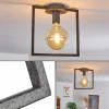 Lampes Industrielles-hofstein Plafonnier Guinan Gris, Noir, 1 lumière
