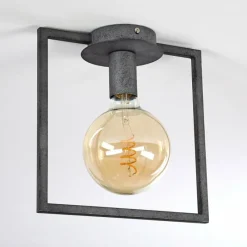 Lampes Industrielles-hofstein Plafonnier Guinan Gris, Noir, 1 lumière