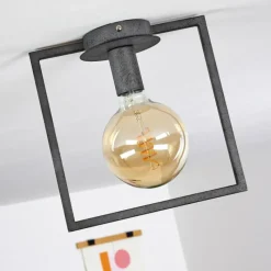 Lampes Industrielles-hofstein Plafonnier Guinan Gris, Noir, 1 lumière