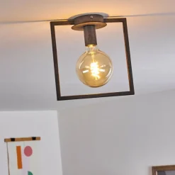 Lampes Industrielles-hofstein Plafonnier Guinan Gris, Noir, 1 lumière