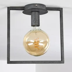 Lampes Industrielles-hofstein Plafonnier Guinan Gris, Noir, 1 lumière