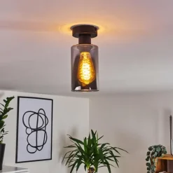 Suspension Verre Fumé-hofstein Plafonnier Hunouri Noir, 1 lumière