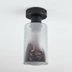 Suspension Verre Fumé-hofstein Plafonnier Hunouri Noir, 1 lumière