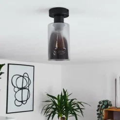 Suspension Verre Fumé-hofstein Plafonnier Hunouri Noir, 1 lumière