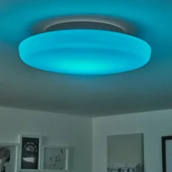 Idual Plafonnier Chloe LED Argenté, Blanc, 1 lumière, Télécommandes, Changeur de couleurs