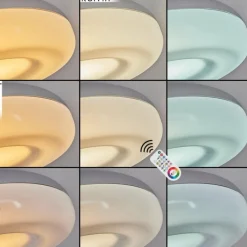 Idual Plafonnier Daphnis LED Argenté, Blanc, 1 lumière, Télécommandes, Changeur de couleurs