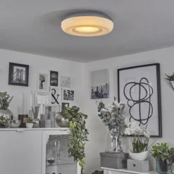 Idual Plafonnier Daphnis LED Argenté, Blanc, 1 lumière, Télécommandes, Changeur de couleurs