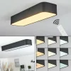 Lampe Plafonnier Iriondo LED Noir, 1 lumière, Télécommandes* Éclairage Led