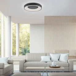 Luminaires Leuchten Direkt Plafonnier Leuchten-Direkt ANIKA LED Anthracite, 1 lumière, Télécommandes* Éclairage Led