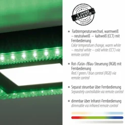 Luminaires Leuchten Direkt Plafonnier Leuchten-Direkt ACRI LED Noir, 2 lumières, Télécommandes* Éclairage Led
