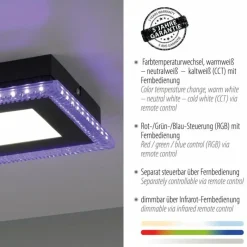Luminaires Leuchten Direkt Plafonnier Leuchten-Direkt ACRI LED Noir, 2 lumières, Télécommandes* Éclairage Led