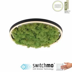 Luminaires Leuchten Direkt Plafonnier Leuchten-Direkt GREEN RITUS LED Noir, 1 lumière* Éclairage Led