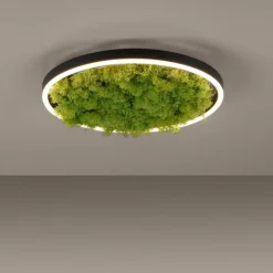 Luminaires Leuchten Direkt Plafonnier Leuchten-Direkt GREEN RITUS LED Noir, 1 lumière* Éclairage Led
