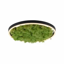 Luminaires Leuchten Direkt Plafonnier Leuchten-Direkt GREEN RITUS LED Noir, 1 lumière* Éclairage Led