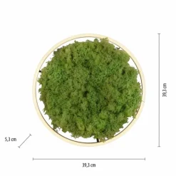 Luminaires Leuchten Direkt Plafonnier Leuchten-Direkt GREEN RITUS LED Noir, 1 lumière* Éclairage Led