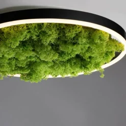 Luminaires Leuchten Direkt Plafonnier Leuchten-Direkt GREEN RITUS LED Noir, 1 lumière* Éclairage Led