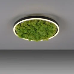 Luminaires Leuchten Direkt Plafonnier Leuchten-Direkt GREEN RITUS LED Noir, 1 lumière* Éclairage Led