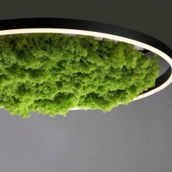 Luminaires Leuchten Direkt Plafonnier Leuchten-Direkt GREEN RITUS LED Noir, 1 lumière* Éclairage Led