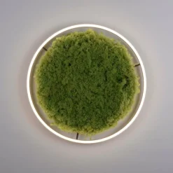 Luminaires Leuchten Direkt Plafonnier Leuchten-Direkt GREEN RITUS LED Noir, 1 lumière* Éclairage Led