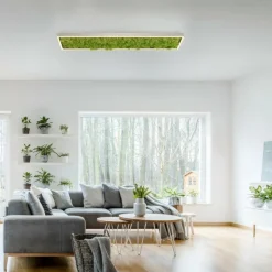 Luminaires Leuchten Direkt Plafonnier Leuchten-Direkt GREEN KNUT LED Argenté, 1 lumière* Éclairage Led
