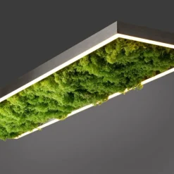 Luminaires Leuchten Direkt Plafonnier Leuchten-Direkt GREEN KNUT LED Argenté, 1 lumière* Éclairage Led