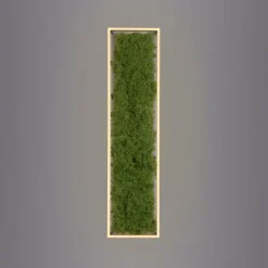 Luminaires Leuchten Direkt Plafonnier Leuchten-Direkt GREEN KNUT LED Argenté, 1 lumière* Éclairage Led