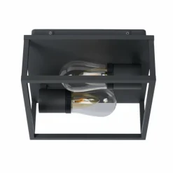 Luminaires Rustiques-Luminaires Lucide Plafonnier Lucide CARLYN Noir, 2 lumières