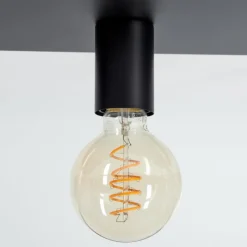 Lampes Industrielles-hofstein Plafonnier Malao Noir, 1 lumière