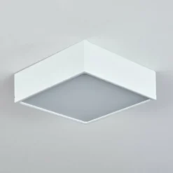 hofstein Plafonnier Netstal LED Blanc, 1 lumière